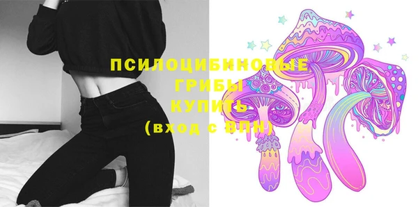 марки lsd Елабуга