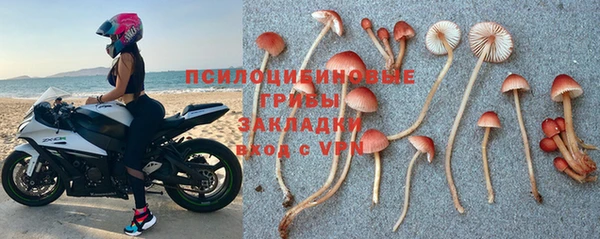 марки lsd Елабуга