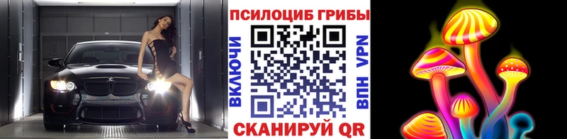 Галлюциногенные грибы Psilocybine cubensis  Купить где  Ирбит 